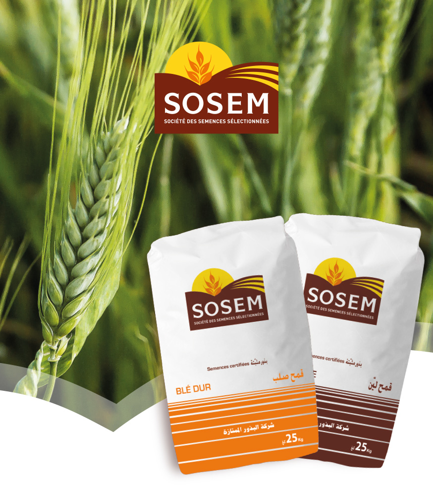 sosem