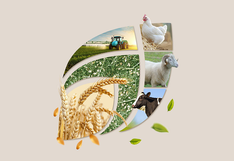 Agricole-et-Alimentation-Animale